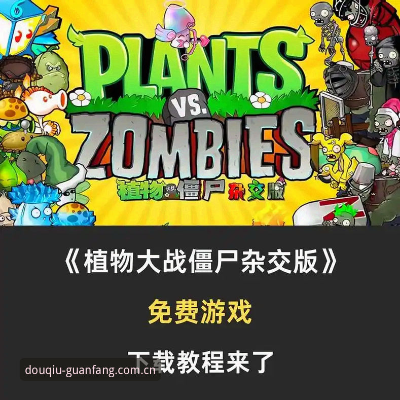 斗球体育平台官方版服务下载安装操作教程